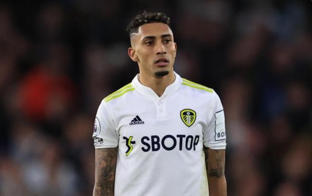 见证新的高 见证新的高