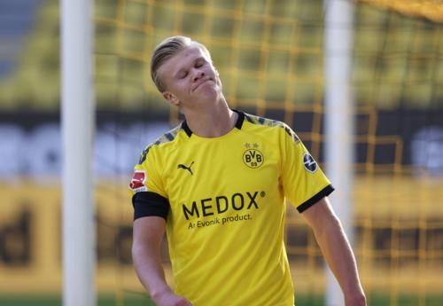 新的活力 新的活力